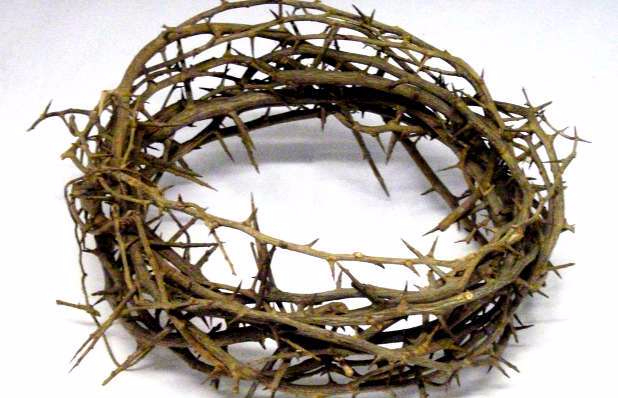 crown-of-thorns